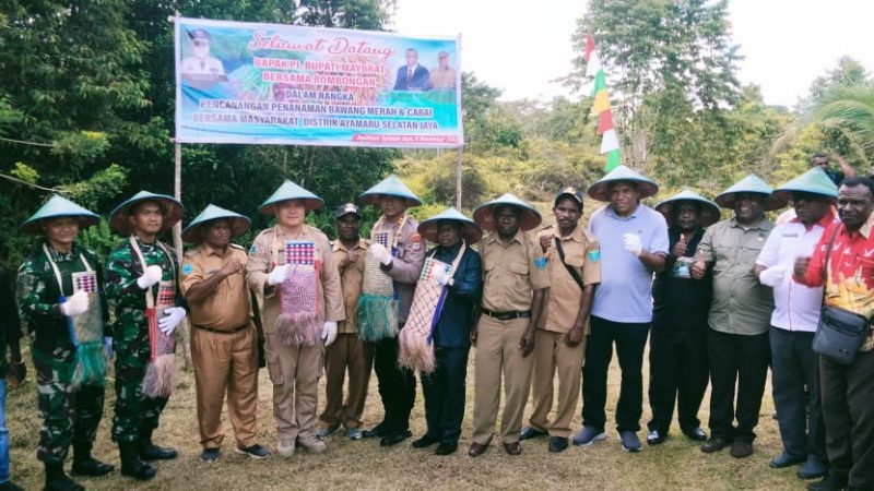 PJ Bupati Maybrat Launching Gerakan Tanam Pangan Cepat Panen