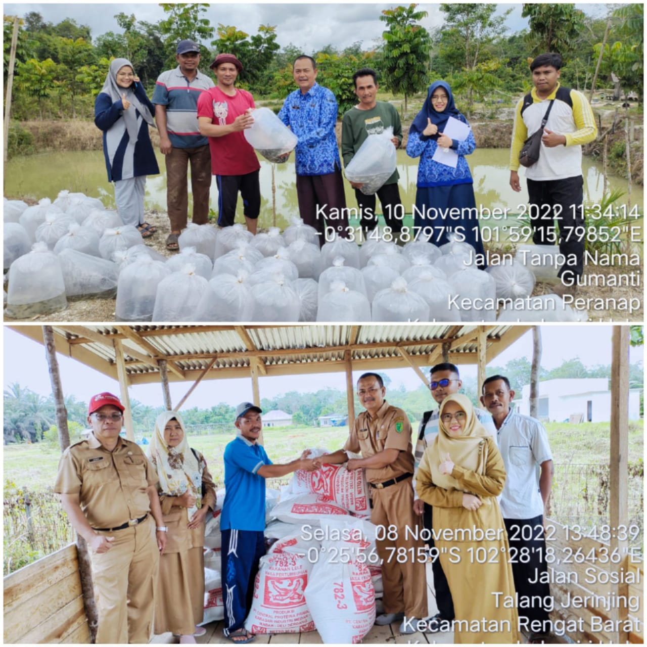 Distankan Inhu Serahkan Bantuan 100 Ribu Ekor Benih Ikan dan 9 Ton Pakan Pada Kelompok Budidaya Ikan