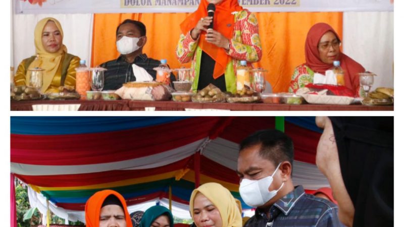 Tim Evaluasi PKK Provsu Puji Kreativitas Desa Dolok Masihul Masuk Nominasi 8 Besar UP2K