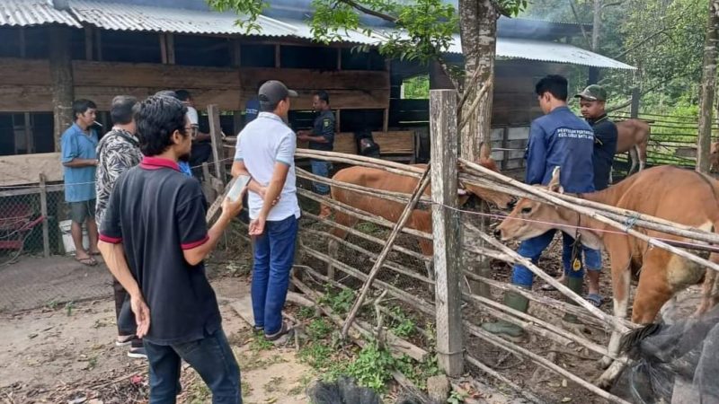 Kembangkan Ekonomi Masyarakat, Wakil Ketua DPRD Inhu Marsyrullah Serahkan Bantuan  Sapi 