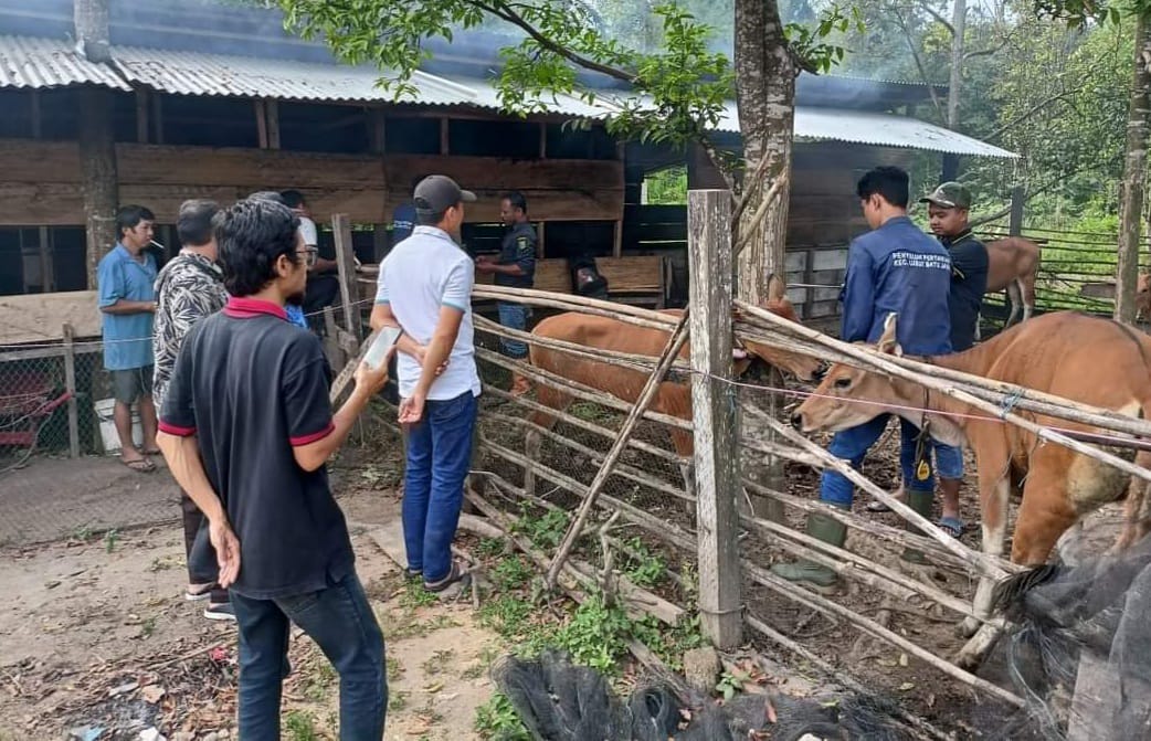 Kembangkan Ekonomi Masyarakat, Wakil Ketua DPRD Inhu Marsyrullah Serahkan Bantuan  Sapi 