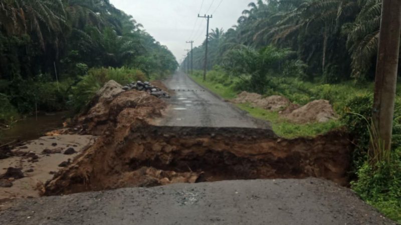 Jalan Putus di Duga Akibat Luapan Air Hujan, PUPR Kabupaten Pasaman Barat: Kita akan Carikan Solusinya