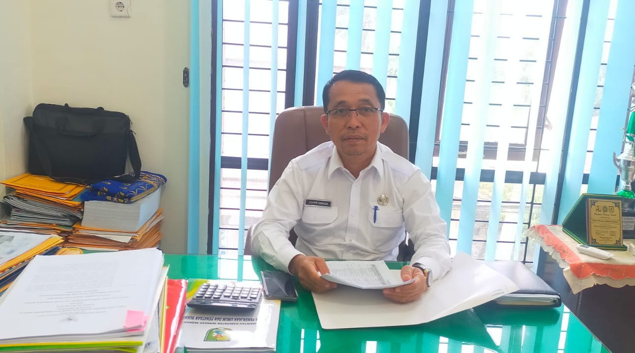 Dibawah Kepemimpinan Bupati Dambaan, Kadis PUPR Sergai : Target Tahun 2026 Kondisi Jalan Baik 90 Persen