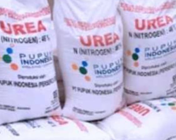 Diduga Terima Fee dari Kios Pupuk Bersubsidi, Ini Bantahan Dari Distanpangan Langkat