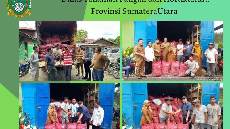 Kepala Dinas Tanaman Pangan dan Hortikultura Provinsi Sumatera Utara Ir.Lucyantini MM,