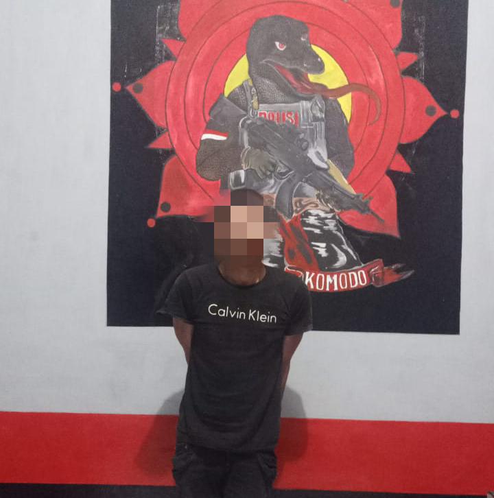 Ini Pelaku Pencabulan Anak di Bawah Umur di Labuhan Bajo