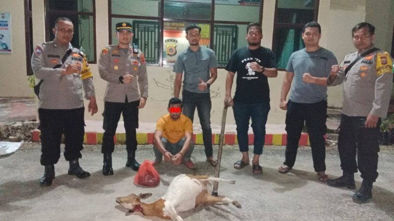 Polsek Peureulak Barat Polres Aceh Timur Berhasil Amankan Pencuri Kambing
