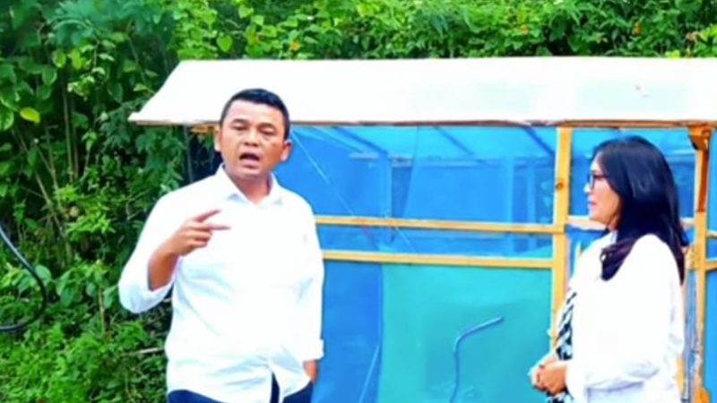 Konsep Pemberdayaan Sampah Organik Menjadi Pakan Ternak, Dinsos PMD Budidaya Lalat BSF Mendukung Ketahanan Pangan