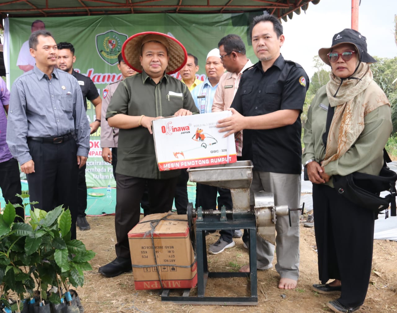 Bupati Tapsel Serahkan 10 Ribu Batang Bibit Cabe
