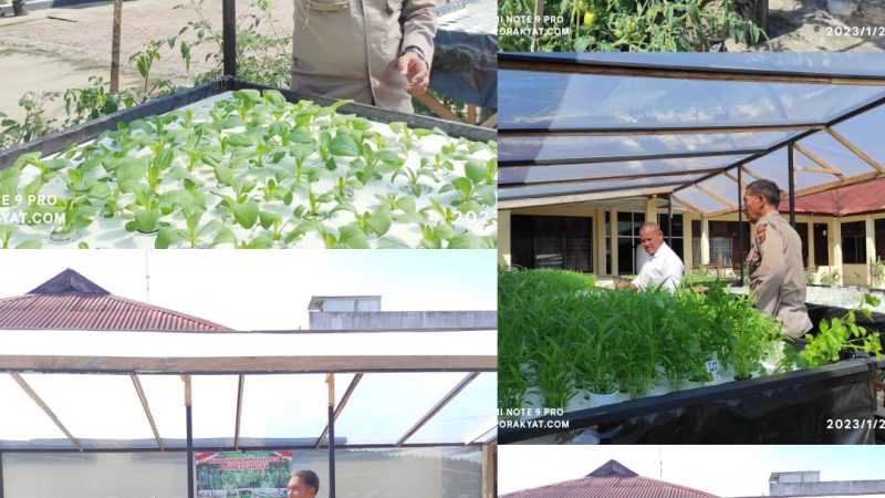 Anggota DPRD Samosir, Program Bunga Desa Bentuk Kerinduan Masyarakat pada Bupati