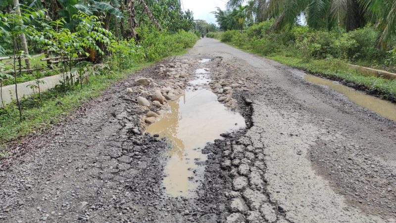 Warga Protes, Jalan Rusak Akibat Truk Sawit PTPN-I Kebun Lama