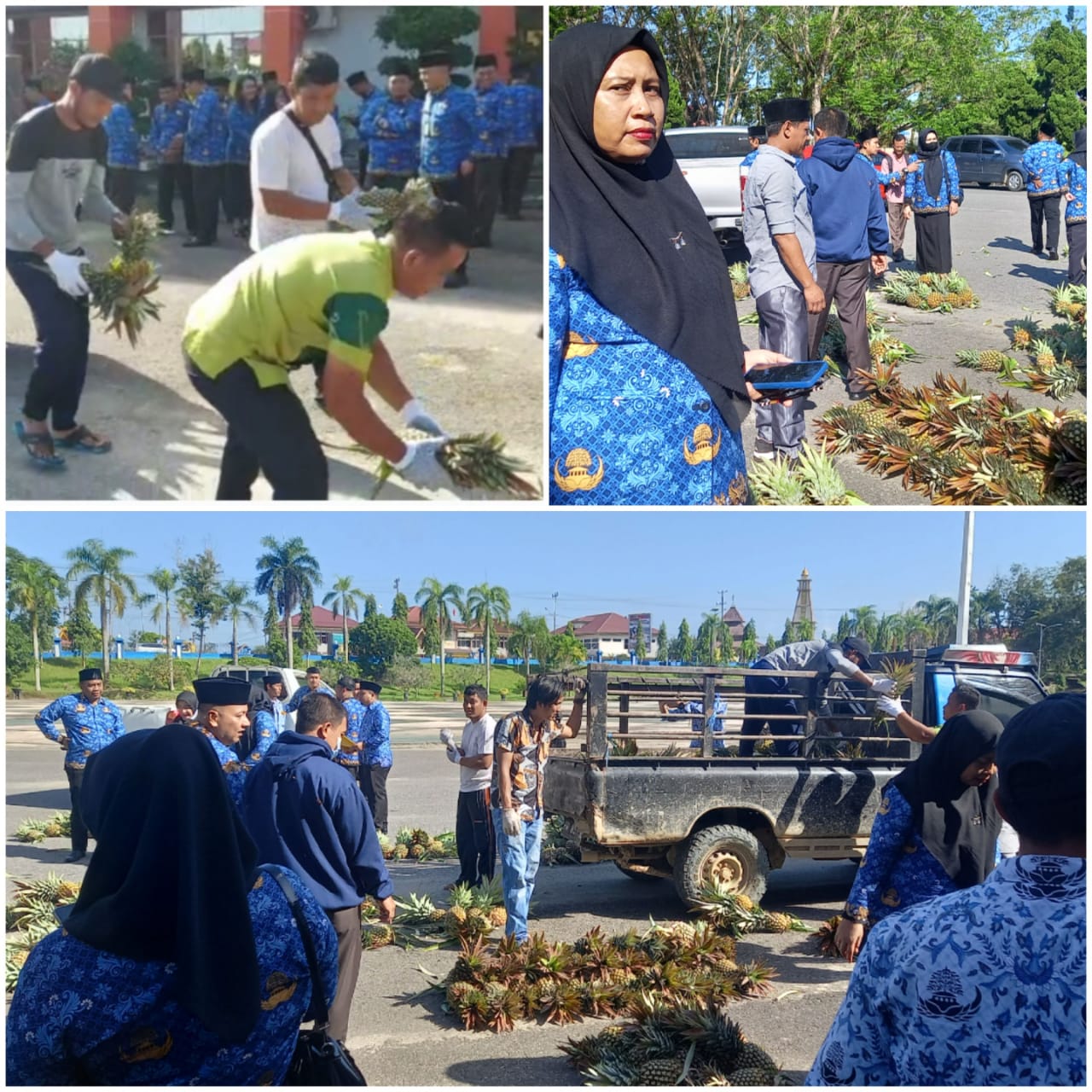 Bukti Dukungan Pemkab Inhu, Bupati Inhu Borong Nenas Madu Hasil Bumdes