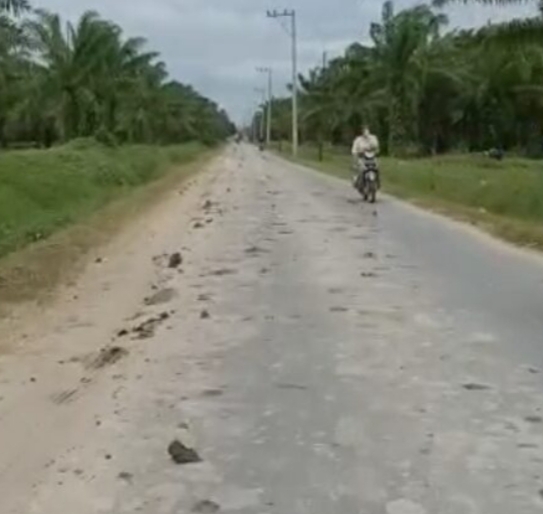 Masyarakat Resah, Aktifitas Galian C Sebabkan Badan Jalan Kotor Dan Berdebu