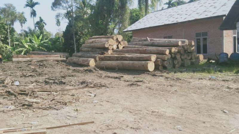 Kapolda Aceh Diminta Periksa Izin Kilang Kayu di Gedubang Langsa