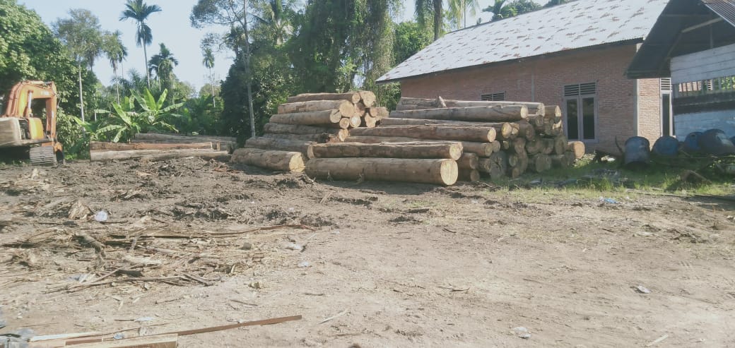 Kapolda Aceh Diminta Periksa Izin Kilang Kayu di Gedubang Langsa