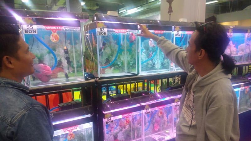 Kompetisi Louhan Meriahkan OPI MALL, Arman Terobsesi Dengan 100 Louhan yang Dipajang