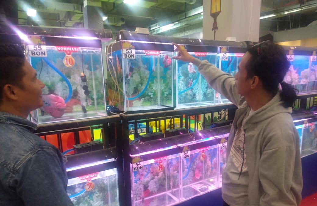 Kompetisi Louhan Meriahkan OPI MALL, Arman Terobsesi Dengan 100 Louhan yang Dipajang