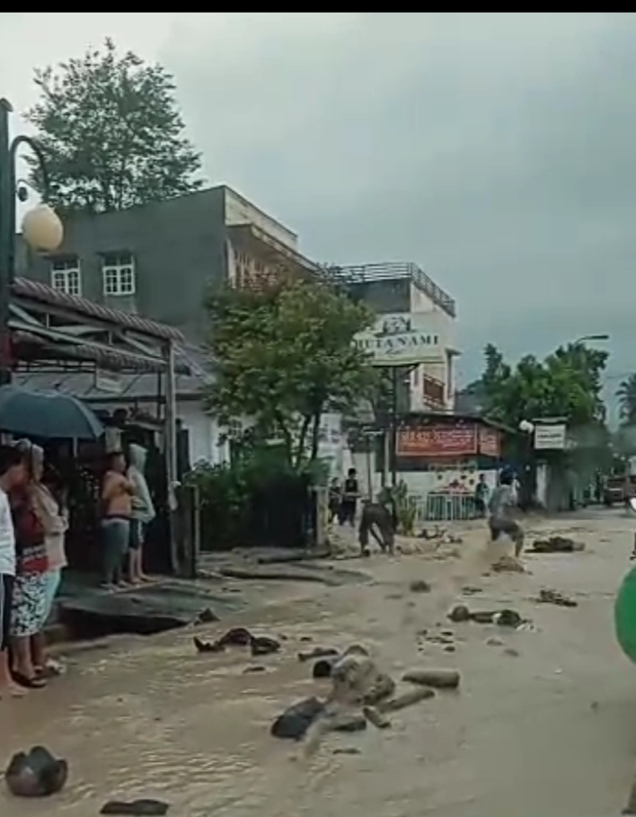 Stop Penebangan Kayu.!! L.Situmeang Apresiasi Bupati Nikson.