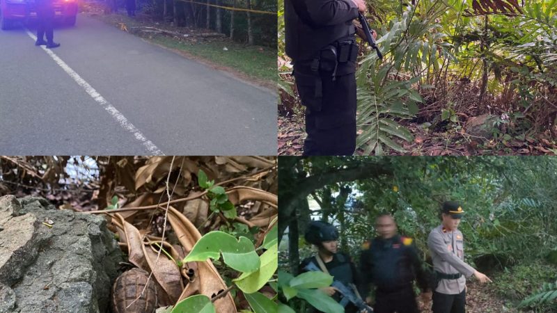Warga Temukan Granat Tangan di Desa Durung Aceh Besar