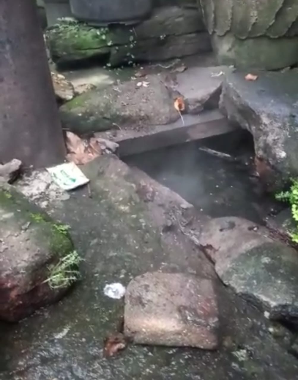 Warga Resah dan Cemas, Tiang Lampu PJU Teraliri Listrik Dan Mengeluarkan Asap Di Kertapati
