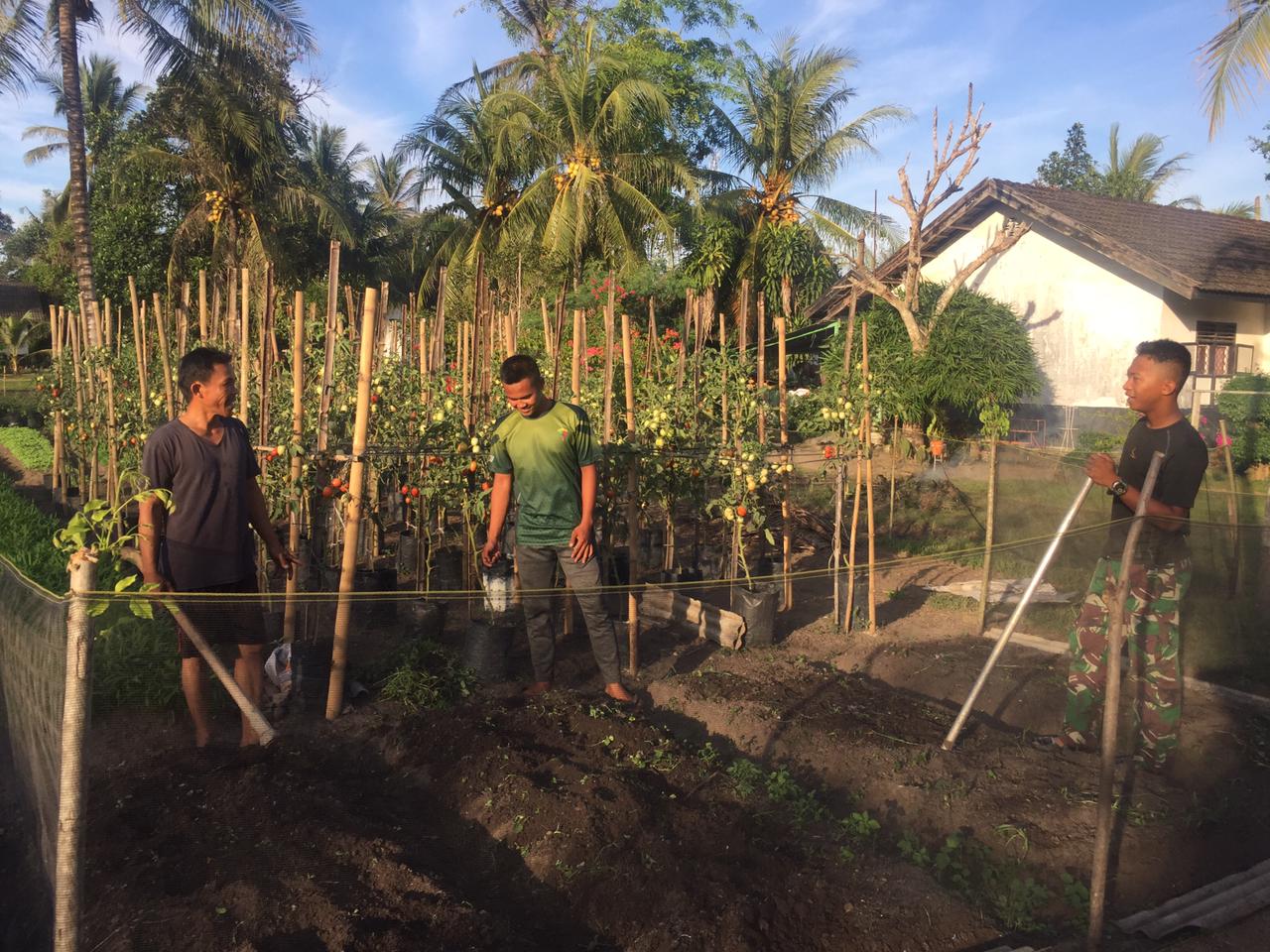 Ciptakan Kedekatan TNI-Rakyat, Satgas TMMD 116 Kodim Deliserdang Bantu Petani Berkebun