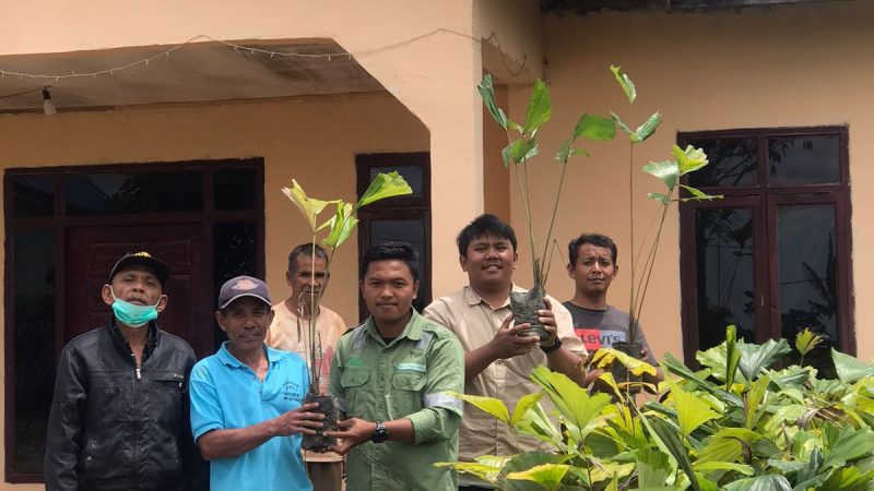 TPL Salurkan Bibit Aren ke Masyarakat Desa Pohan Jae