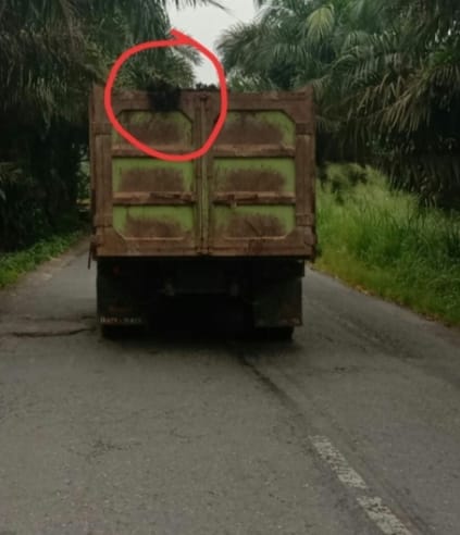 Warga Meminta PKS PT. Indo Sepadan Agar Ditertibkan Dump Truck Mengangkut Jankos Harus Ditutupi Terpal