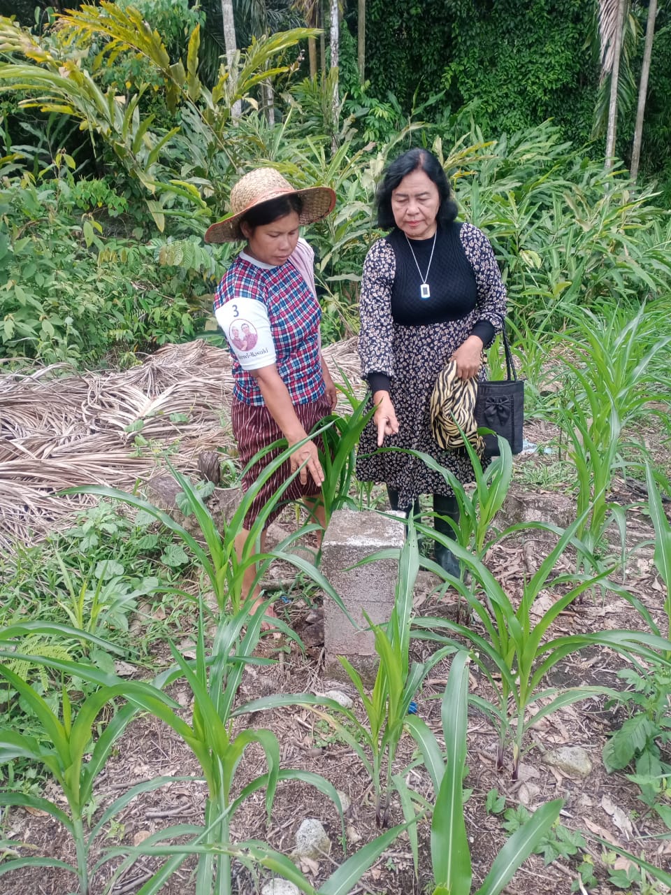 Tudingan Pengrusakan Lahan PT.SH Di Lahan Sendiri, Kapolresta Binjai Dan Penyidik Diduga Saling Lempar Bola