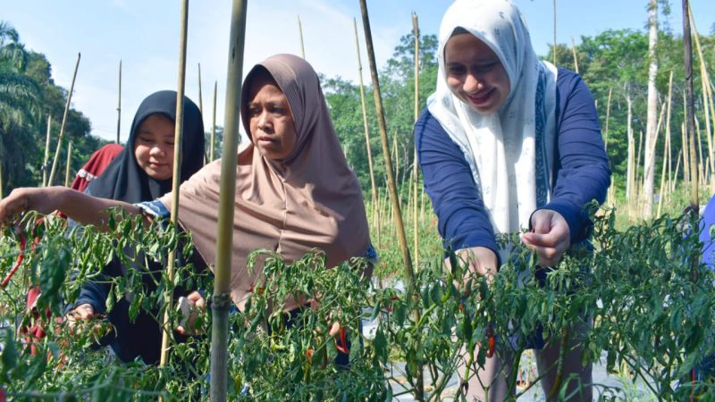 Melalui Program Irama Desa,Rezita Ajak Warga Kembangkan Produk Lokal Menjadi Penopang Ekonomi Rumah Tangga Berbasis UMKM Sejahtera