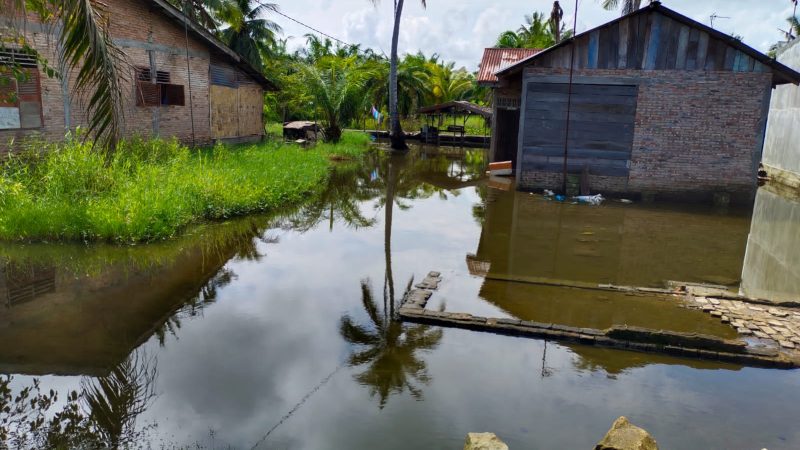 Banjir Berbulan-Bulan Tak Kunjung Surut, Masyarakat Keluhkan Banyak Sungai Kecamatan Bandar Khalifah Ditutup Jadi Kebun Sawit