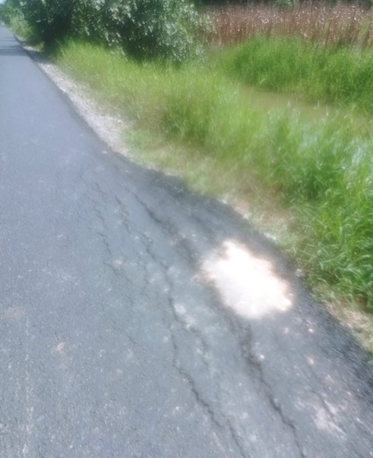 Jalan Baru Dibangun Hancur Dilibas Truk Galian C tanpa Ijin, Ketua LSM LPKH Sergai Angkat Bicara