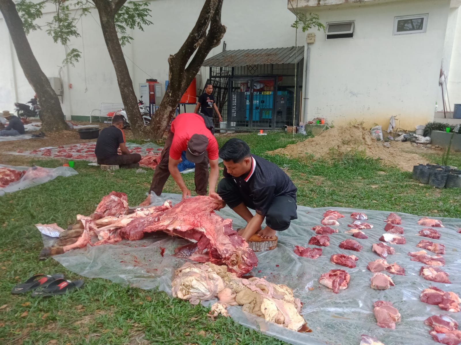 Unsam Sembelih 19 Ekor Hewan Qurban