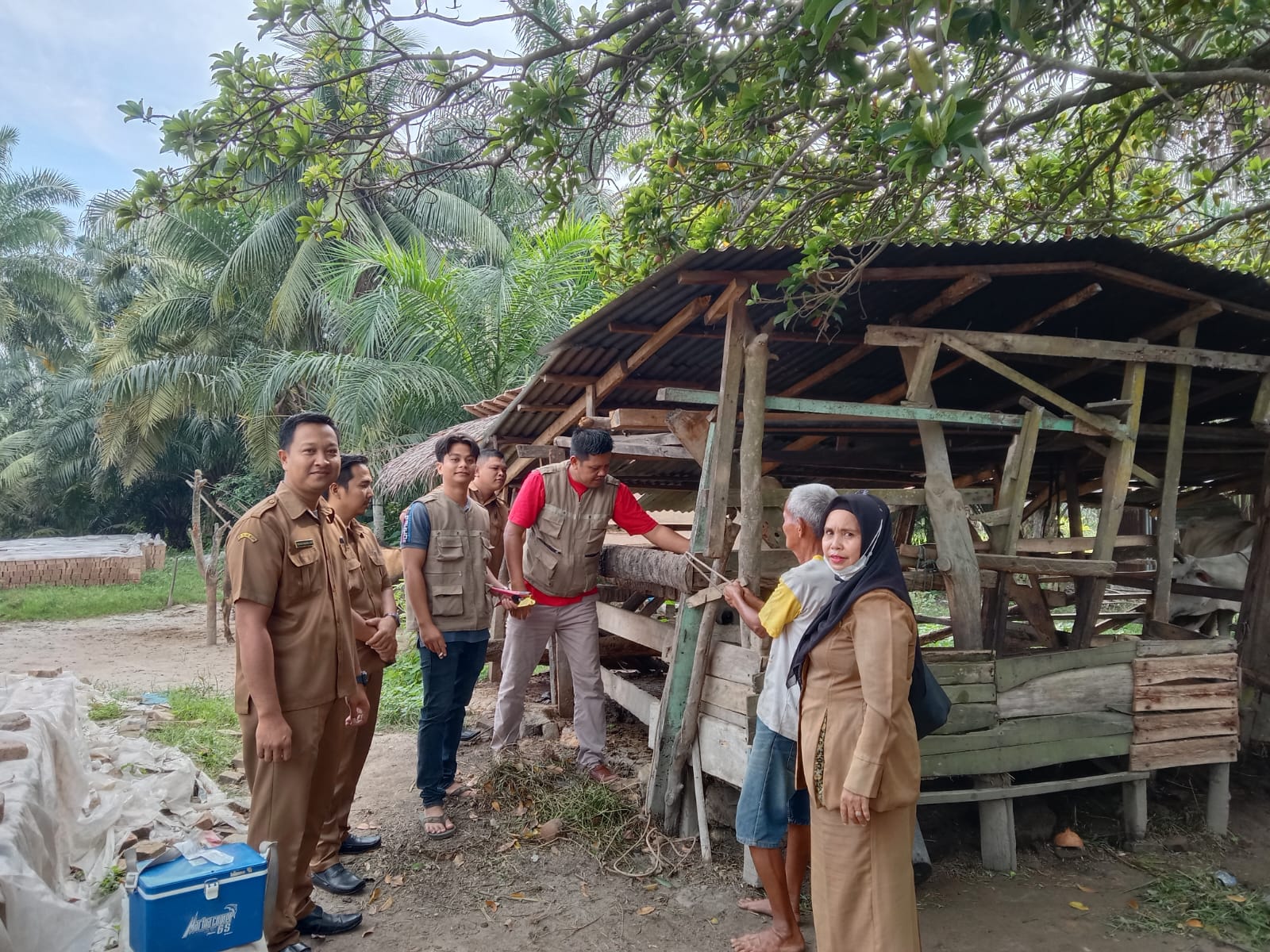 Jelang Idul Adha, Pemkab Asahan Lakukan Pemeriksaan Hewan Qurban
