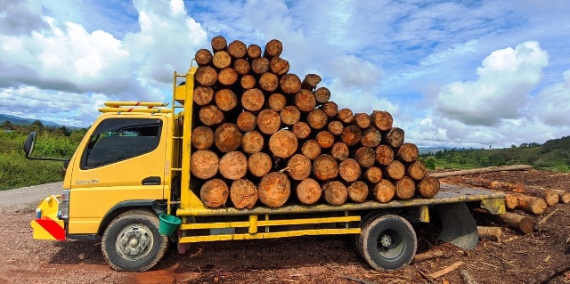 Diduga Ilegal Logging DLHK Sumut Amankan Truk dan Muatannya  