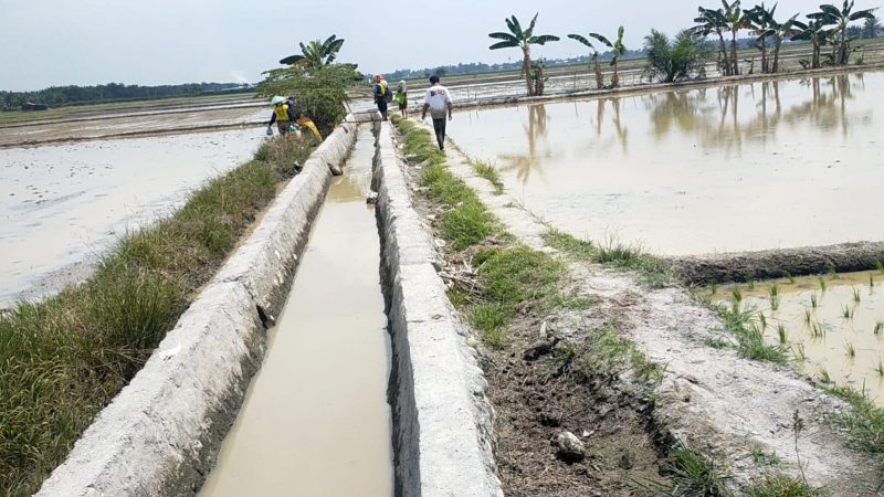 Soal Hasil Pembangunan, Tokoh Pemuda Sergai : Aparat Penegak Hukum Diminta Serius Periksa