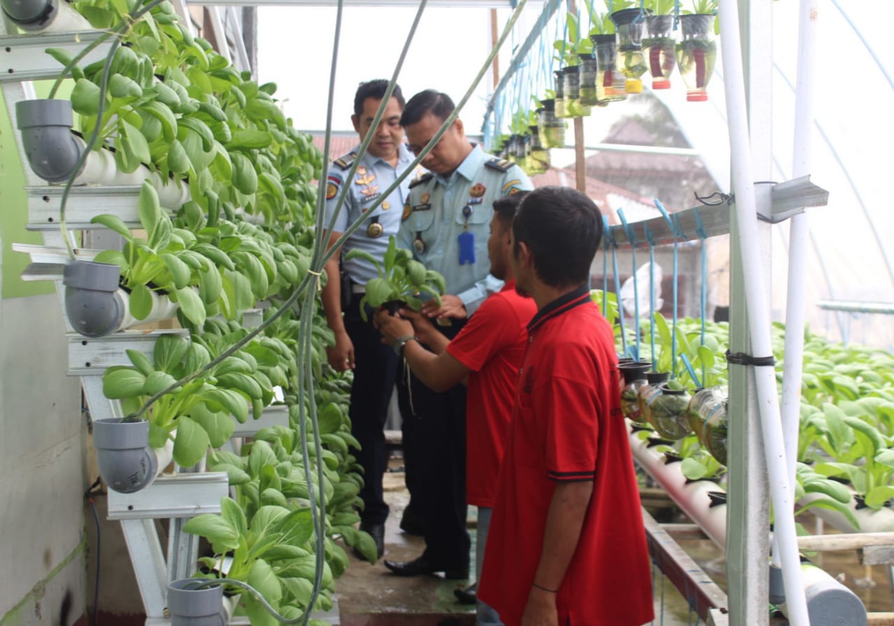 Bernilai Positif, Rutan Kelas II B Rengat Kanwil Kemenkumham Riau  Panen Raya Sayur Hidroponik Bersama Warga Binaan