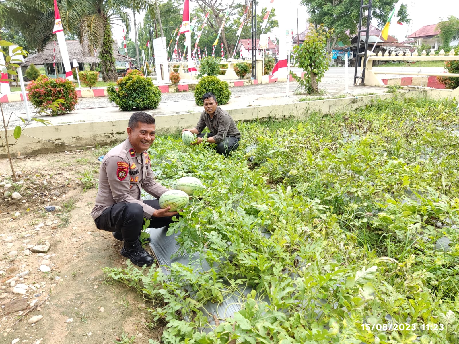 Tingkatkan Ketahanan Pangan, Kapolsek Peureulak Timur Gunakan Lahan Kosong Tanam Sayur dan Buah