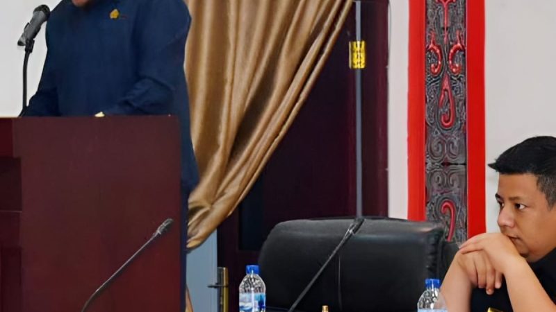 Pengelolaan Keuangan Kabupaten Samosir Tahun 2023 Dianggap Tidak Profesional