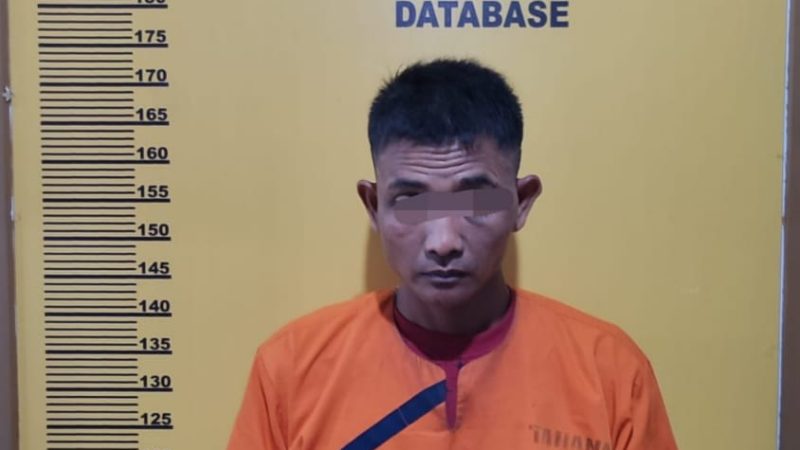 Polres Inhu Amankan Pengedar Ganja Kering