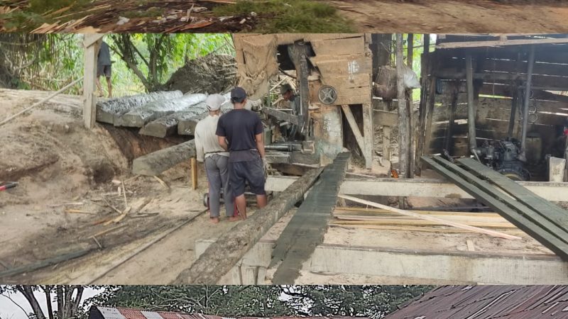 Diduga Sawmil ‘Imam & Yunus’ di Tamiang Mengolah Kayu Ilegal Logging, Polda Diminta Turun Tangan