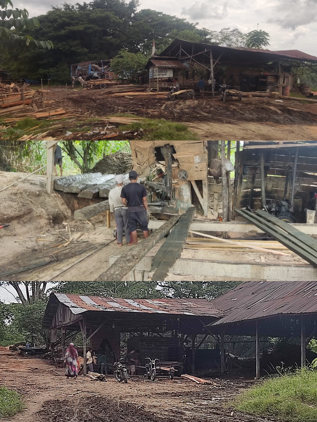 Diduga Sawmil ‘Imam & Yunus’ di Tamiang Mengolah Kayu Ilegal Logging, Polda Diminta Turun Tangan