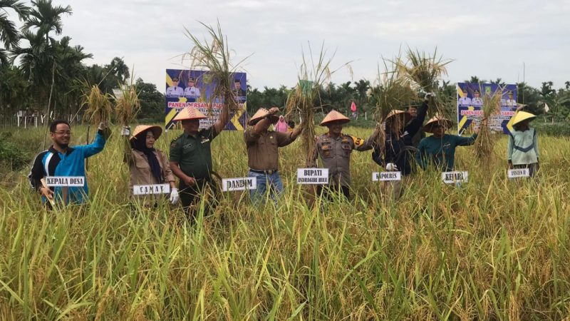 Program Desa Ketahanan Pangan, Kelompok Tani Sekar Wangi Bersama Forkopimda Inhu Panen Raya Padi Sawah