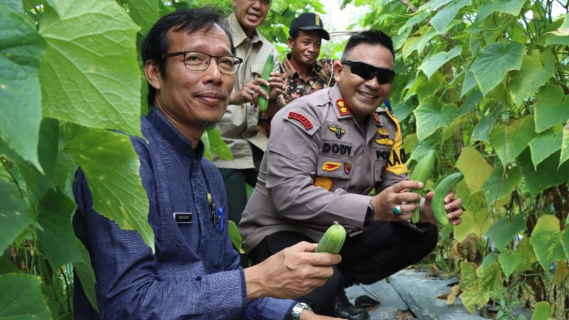 Desa Ketahanan Pangan Sejak 2020, Kapolres Inhu Panen Raya di Talang Jerinjing 