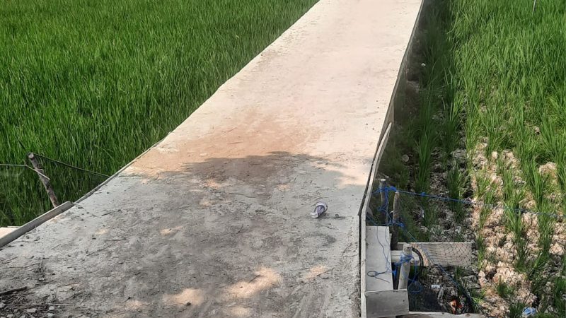 Diduga DD Tahun 2023 Desa Pelabuhan Dalam Di Gunakan Tidak Multi Guna dan Sudah Retak
