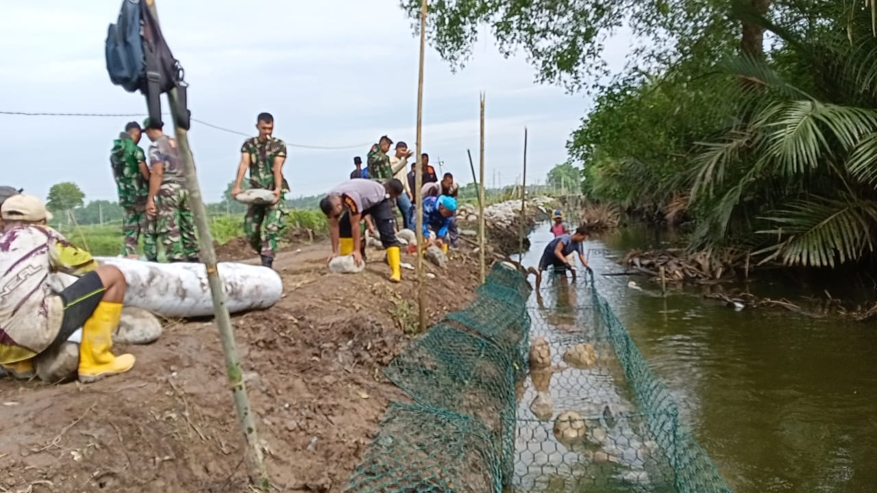 Buat Bronjong di Marelan,Satgas dan Warga Berjibaku Dibawah Terik Matahari