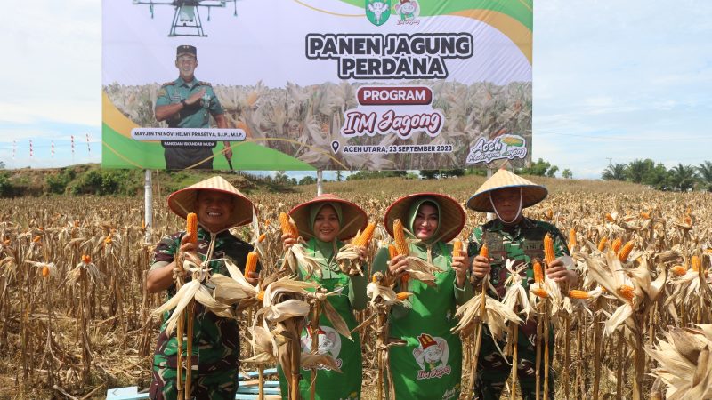 Danrem 011/Lilawangsa Dampingi Pangdam IM Panen Perdana Program I’M Jagong di Aceh Utara