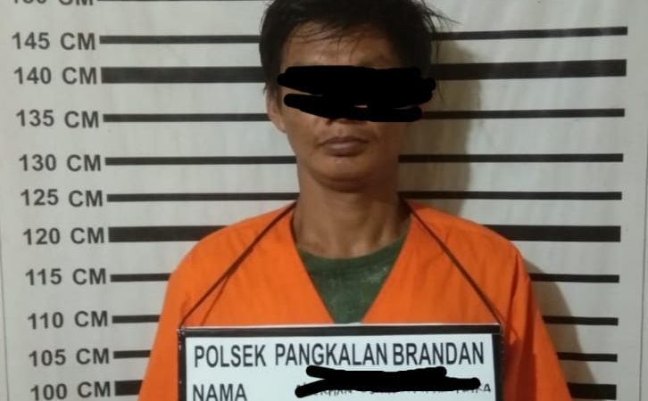 Pencuri Bebek Milik Edy Syahputra Berhasil Di Amankan Polsek Pangkalan Brandan Polres Langkat