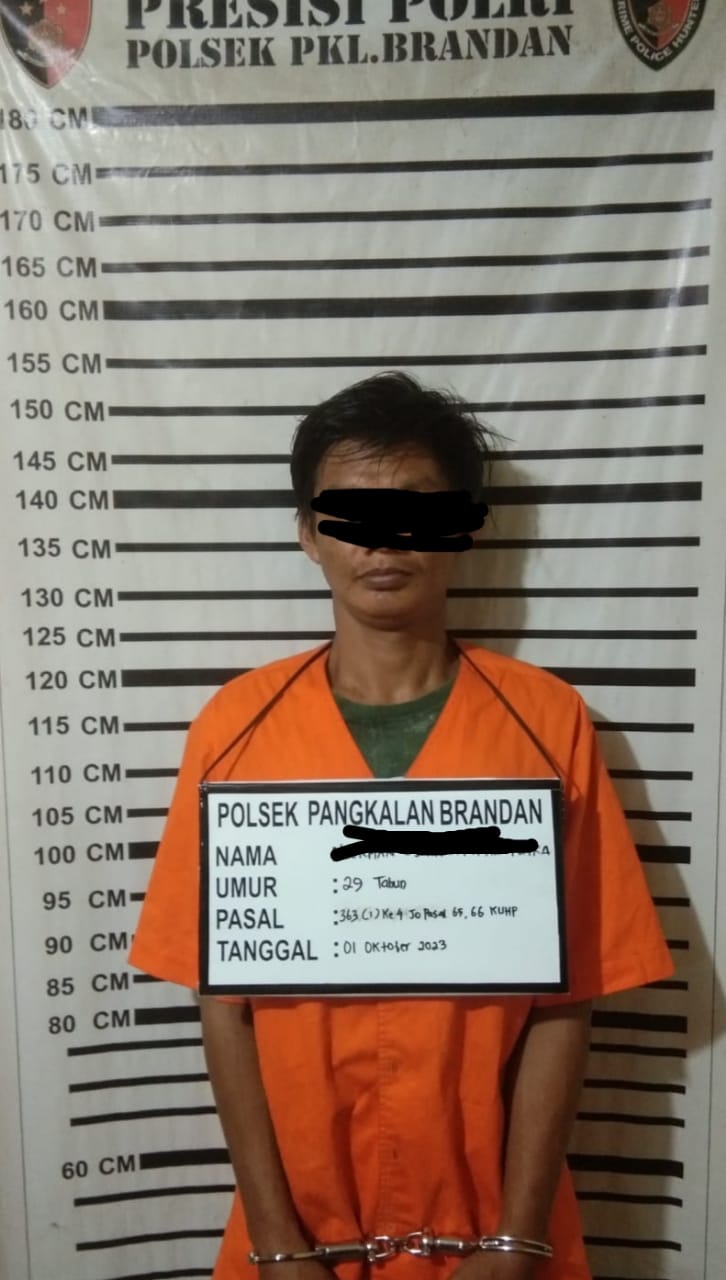 Pencuri Bebek Milik Edy Syahputra Berhasil Di Amankan Polsek Pangkalan Brandan Polres Langkat