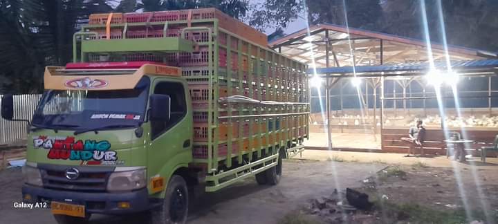 Keberadaan Tampungan Ayam Boiler Di Desa Faekhu Sebarkan Bau Tidak Sedap Kerumah Warga