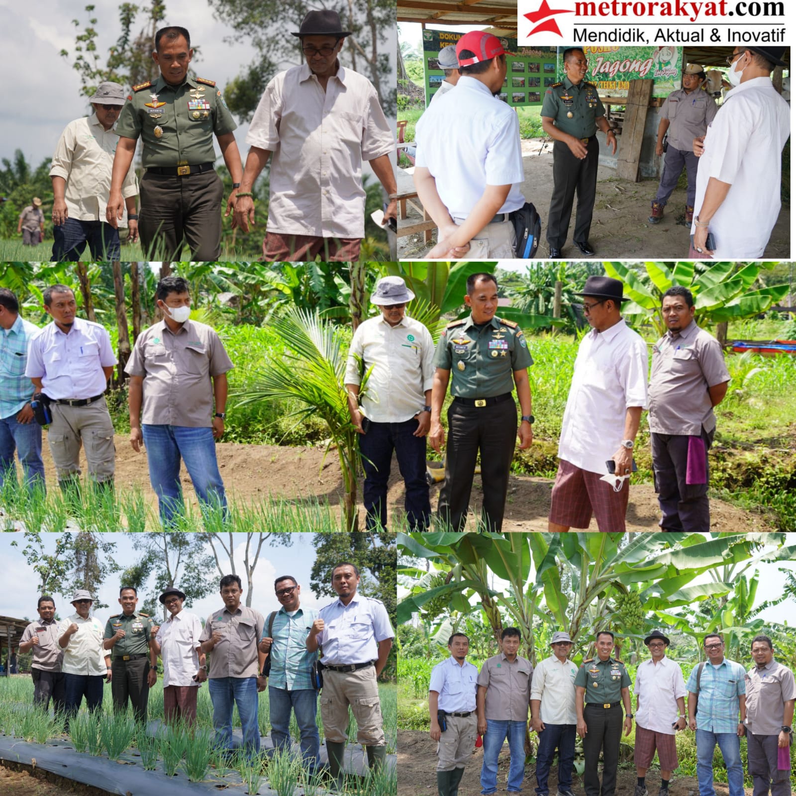 Dukungan PT. Socfindo Membantu Keberhasilan Food Estate Korem 012/TU dalam Mewujudkan Ketahanan Pangan Nasional